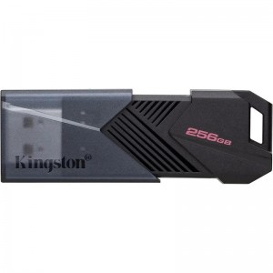 PEN DRIVE 256GB KINGSTON...